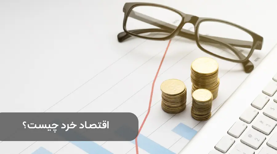اقتصاد خرد به زبان ساده و بررسی مفهوم آن